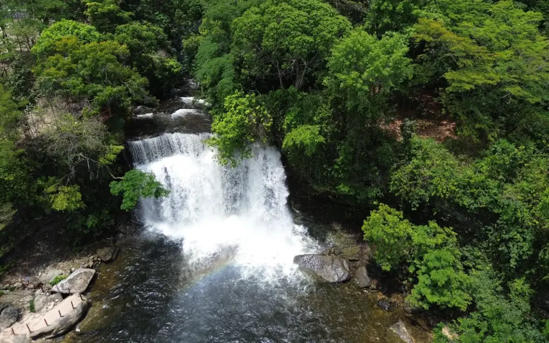Na COP, ativistas denunciam apagamento e alertam: sem Cerrado, não há Amazônia