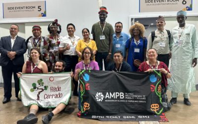 Povos e comunidades tradicionais lançam fórum global para incidir no regime internacional da ONU