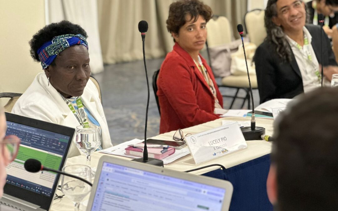 Comitê de plantas medicinais e fitoterápicos do SUS é retomado com participação da Rede Cerrado 