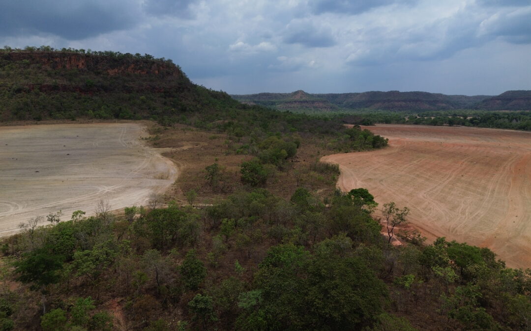 Derrubada dos vetos na lei do ‘PL da Devastação’ é retrocesso histórico para povos e biomas brasileiros