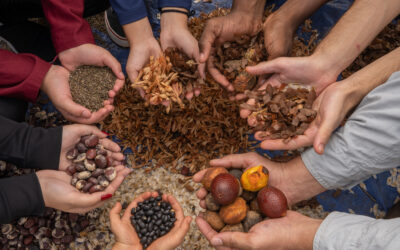 ‘Prospera Sociobio’ é oportunidade para Cerrado e demais biomas brasileiros protagonizarem agenda da sociobioeconomia 