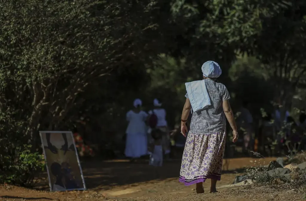 Novo relatório do Tô no Mapa revela que territórios tradicionais preservam até 80% de vegetação nativa, mesmo sob pressão externa de desmatamento
