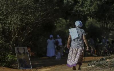 Novo relatório do Tô no Mapa revela que territórios tradicionais preservam até 80% de vegetação nativa, mesmo sob pressão externa de desmatamento
