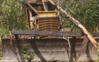 Mobilização garante vitória em defesa dos povos do Cerrado no Piauí