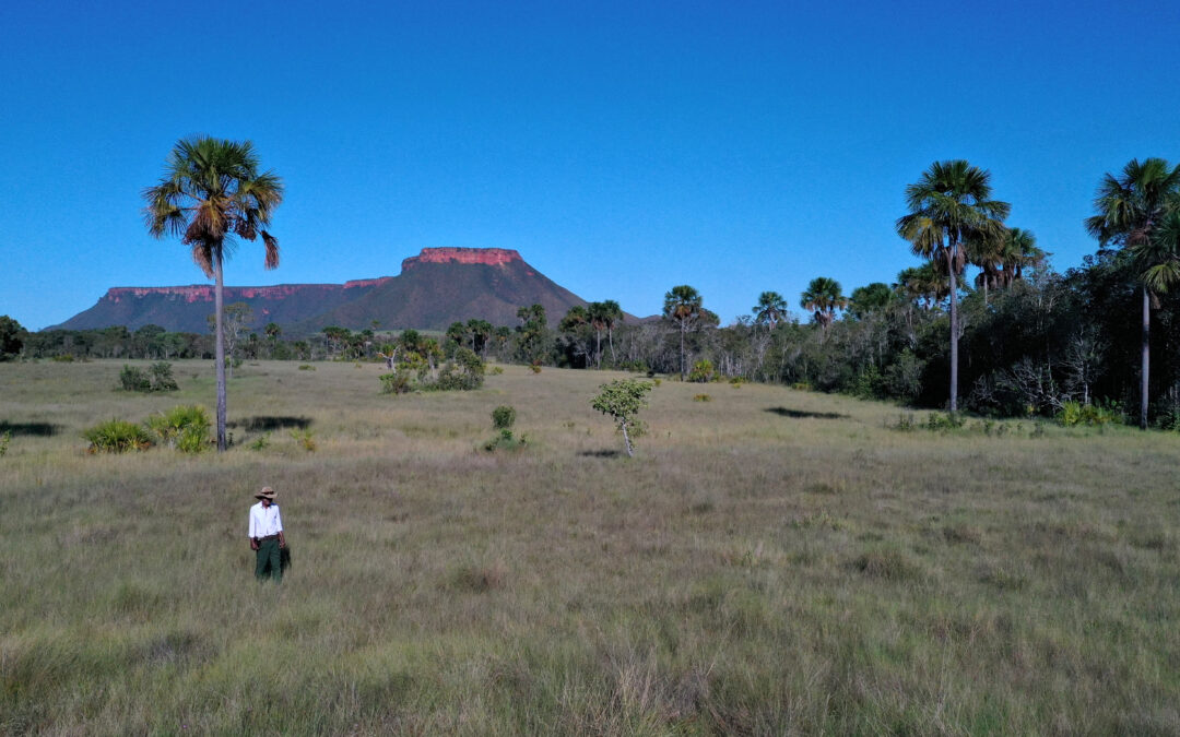 Cerrado mineiro é palco de encontro internacional liderado por povos tradicionais do bioma com participação de relator da CIDH