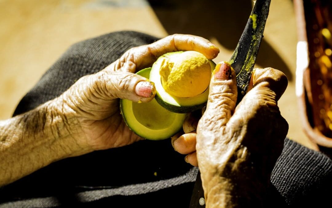 Catrapovos: a experiência que trocou ultraprocessados por alimentos locais na merenda de povos e comunidades tradicionais