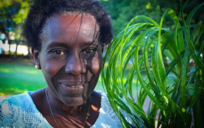 Ofício de Raizeiras e Raizeiros do Cerrado é reconhecido como patrimônio cultural pelo Iphan