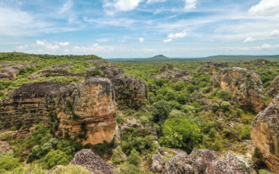 Paisagem hídrica do Cerrado muda com avanço de reservatórios artificiais