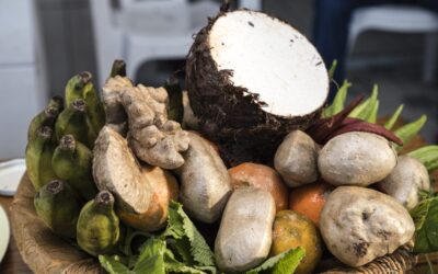 Resolução amplia participação de povos e comunidades tradicionais no PNAE e fortalece a diversidade alimentar nas escolas