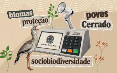 Eleições 2026: iniciativas da sociedade civil levam agenda socioambiental às urnas