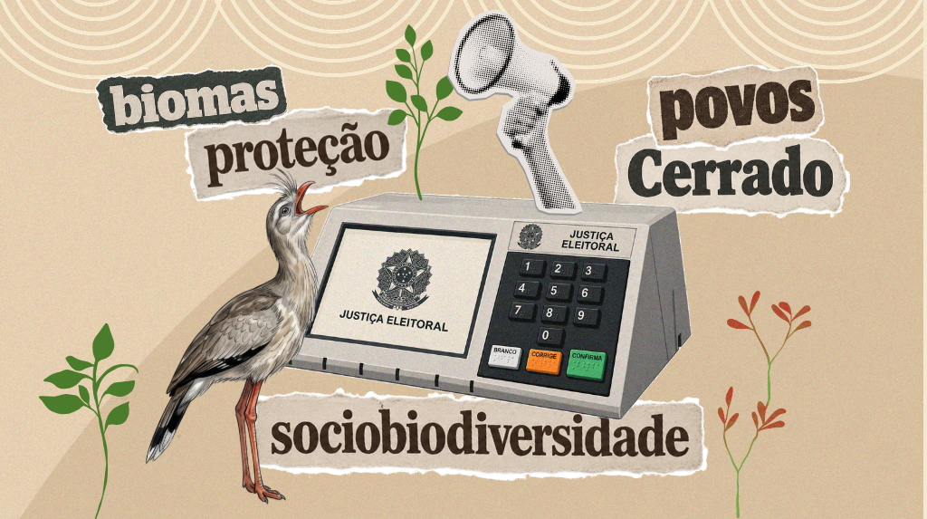 Eleições 2026: iniciativas da sociedade civil levam agenda socioambiental às urnas 